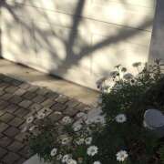 ヒメ日記 2026/03/29 13:24 投稿 ゆら【trip】 アロマエステ アイウィッシュ