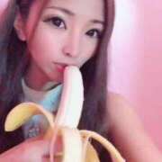 ヒメ日記 2025/08/19 12:44 投稿 めがみ チューリップ福井本館