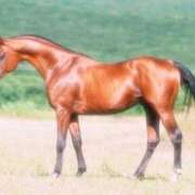 ヒメ日記 2026/01/01 00:05 投稿 ちなつ ハンドキャンパス新宿