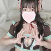 ヒメ日記 2025/03/23 11:50 投稿 すず チューリップ姫路店