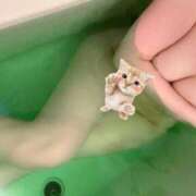 ヒメ日記 2025/08/08 19:22 投稿 えれな◇明るいキレカワ美女◇ H-ash（アッシュ）