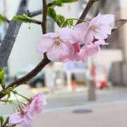 ヒメ日記 2025/03/25 07:16 投稿 まお AVANCE福岡