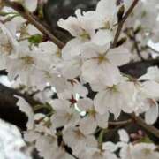 ヒメ日記 2025/04/01 20:52 投稿 まお AVANCE福岡