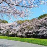 ヒメ日記 2025/04/06 08:55 投稿 まお AVANCE福岡