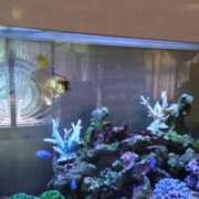 ヒメ日記 2025/08/01 17:14 投稿 まお AVANCE福岡