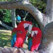 ヒメ日記 2025/10/31 08:23 投稿 まお AVANCE福岡