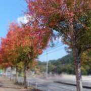 ヒメ日記 2025/11/21 13:51 投稿 まお AVANCE福岡