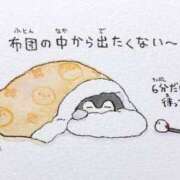 ヒメ日記 2026/01/31 08:52 投稿 まお AVANCE福岡