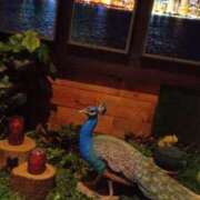 ヒメ日記 2026/02/06 22:15 投稿 まお AVANCE福岡