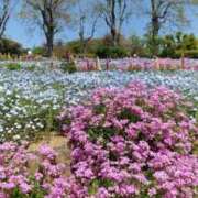 まお 晴天つづき☀ AVANCE福岡