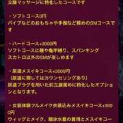 ヒメ日記 2023/11/25 13:37 投稿 吉野沙莉那 東京シーメール倶楽部　新宿店