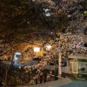 ヒメ日記 2025/03/14 16:42 投稿 さりな【18才・Cカップ】 ソープランド メイド館 ラ・メイド