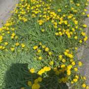 ヒメ日記 2025/05/21 20:13 投稿 さりな【18才・Cカップ】 ソープランド メイド館 ラ・メイド