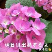 まりも おウチの紫陽花も咲きましたꔛ♥ 熟女の風俗最終章 高崎店