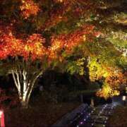 ヒメ日記 2025/11/25 09:28 投稿 まりも 熟女の風俗最終章 高崎店