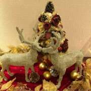 まりも もう、数えるほどよ…💭 熟女の風俗最終章 高崎店