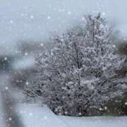 ヒメ日記 2026/02/08 10:18 投稿 まりも 熟女の風俗最終章 高崎店