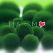 ヒメ日記 2026/03/06 09:53 投稿 まりも 熟女の風俗最終章 高崎店