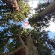 ヒメ日記 2026/03/13 12:09 投稿 まりも 熟女の風俗最終章 高崎店