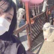 ヒメ日記 2025/03/15 20:36 投稿 桧山さゆり プレジデントハウス