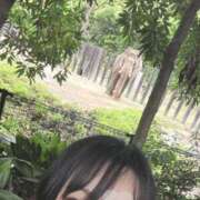 ヒメ日記 2025/05/10 19:49 投稿 桧山さゆり プレジデントハウス