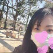 ヒメ日記 2025/06/03 22:15 投稿 桧山さゆり プレジデントハウス