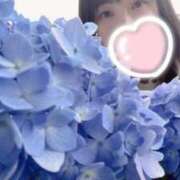 ヒメ日記 2025/06/30 22:26 投稿 桧山さゆり プレジデントハウス