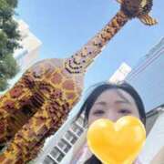 ヒメ日記 2025/08/09 21:16 投稿 桧山さゆり プレジデントハウス