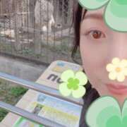 ヒメ日記 2025/10/09 22:07 投稿 桧山さゆり プレジデントハウス