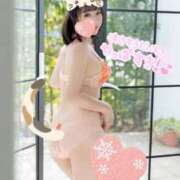 ヒメ日記 2026/02/23 00:36 投稿 桧山さゆり プレジデントハウス