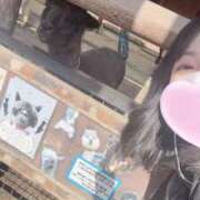 ヒメ日記 2026/03/11 21:37 投稿 桧山さゆり プレジデントハウス