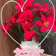 ヒメ日記 2024/12/22 23:34 投稿 越智奈々子 五十路マダム静岡店（カサブランカG）