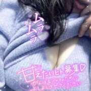 ヒメ日記 2025/04/06 09:44 投稿 越智奈々子 五十路マダム静岡店（カサブランカG）