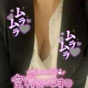 ヒメ日記 2025/04/14 06:46 投稿 越智奈々子 五十路マダム静岡店（カサブランカG）