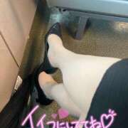 ヒメ日記 2025/06/10 08:02 投稿 越智奈々子 五十路マダム静岡店（カサブランカG）