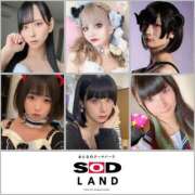 ヒメ日記 2025/02/24 14:38 投稿 近藤ムム サクラムーン