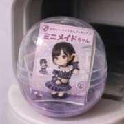 ヒメ日記 2025/12/20 12:26 投稿 近藤ムム サクラムーン