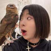 ヒメ日記 2024/12/19 11:34 投稿 近藤ムム ラナ鶯谷