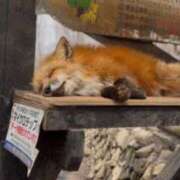 ヒメ日記 2026/04/08 20:46 投稿 近藤ムム ラナ 錦糸町