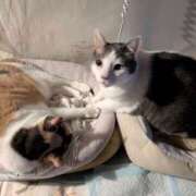 ヒメ日記 2025/02/22 11:47 投稿 近藤ムム ニューハーフ・男の娘・女装系デリヘル　ピーチムーン五反田店