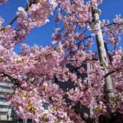 ヒメ日記 2026/04/01 15:20 投稿 ゆうき 沼津人妻花壇