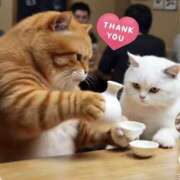 ヒメ日記 2025/06/11 17:36 投稿 工藤 モアグループ所沢人妻城