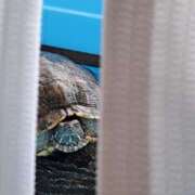 ヒメ日記 2025/09/20 01:13 投稿 なつみ 大奥