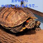 なつみ 衝撃の事実😱😱😱💦 大奥