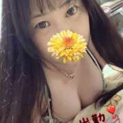 ヒメ日記 2025/04/26 12:10 投稿 せりな モアグループ 土浦人妻花壇