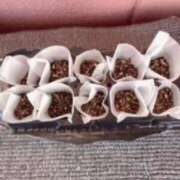 ヒメ日記 2025/04/14 06:19 投稿 そら 熟年サンムーン