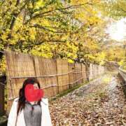 ヒメ日記 2025/11/08 01:52 投稿 ふたば 藤沢人妻城