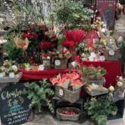 ヒメ日記 2025/12/18 11:31 投稿 めぐ 熟女の風俗最終章 本厚木店