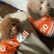 ヒメ日記 2025/12/26 11:21 投稿 めぐ 熟女の風俗最終章 本厚木店