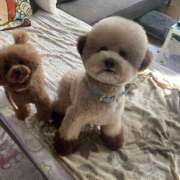 ヒメ日記 2025/12/26 14:41 投稿 めぐ 熟女の風俗最終章 本厚木店